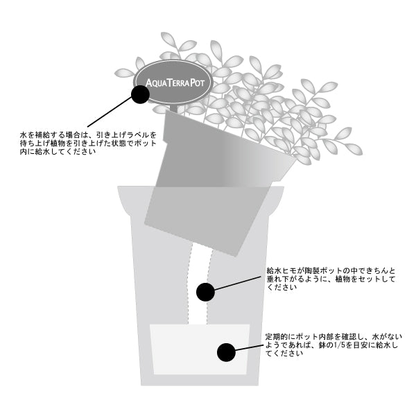 アクアテラポット カラーブリキ