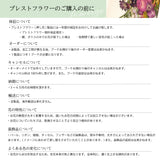 【アフターブーケ ＜ネット限定 Moebe Ssize＞】生花ブーケを「押し花＆額装」してお届けします       ブーケ 加工 プレスフラワー 押し花 フレーム インテリア オシャレ おしゃれ 高級 プレゼント ギフト 祝い 記記念 残す 結婚式 前撮り フォトウェディング ウェディング  プロポーズ