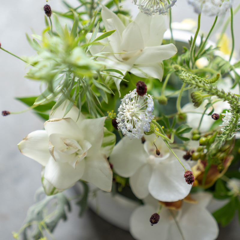 Whiteフラワーアレンジメント Lサイズ フラワーギフト 花 生花