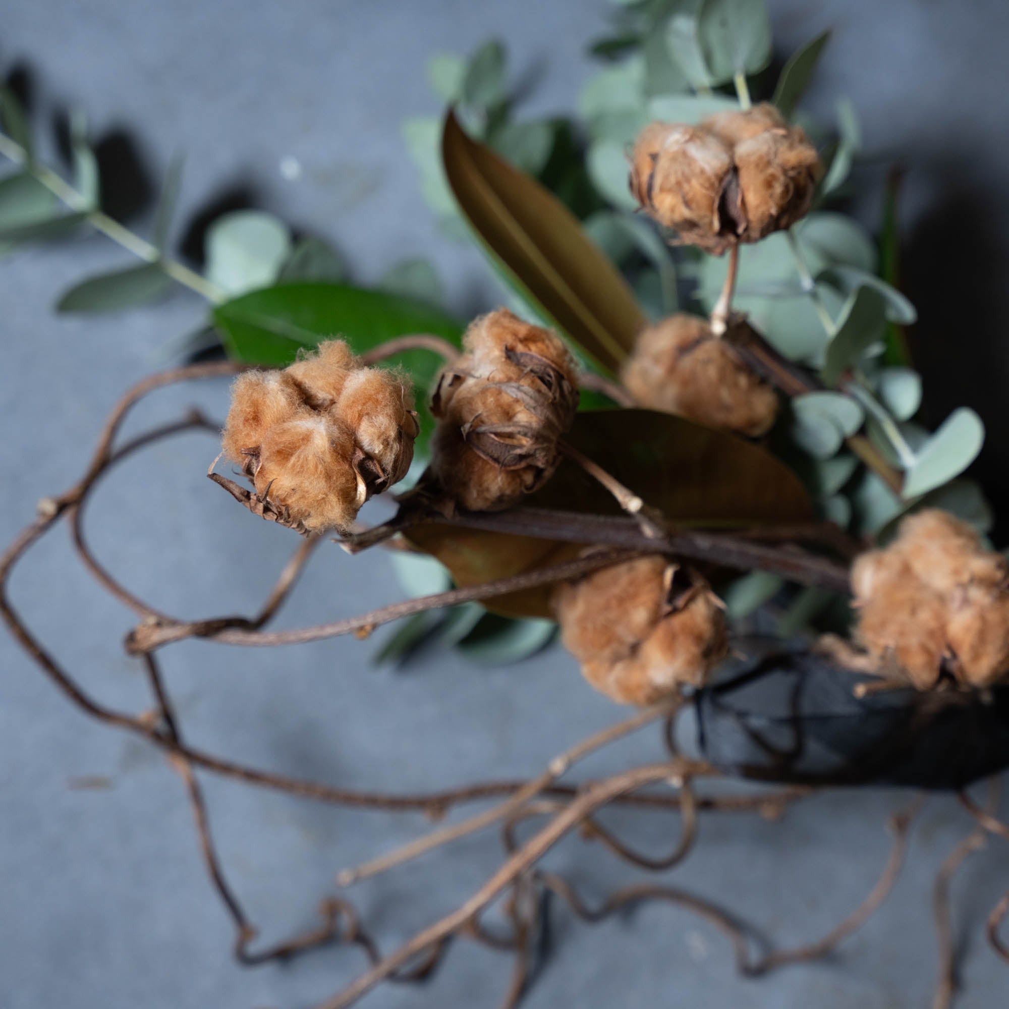 ユーカリとコットンフワラーのスワッグ