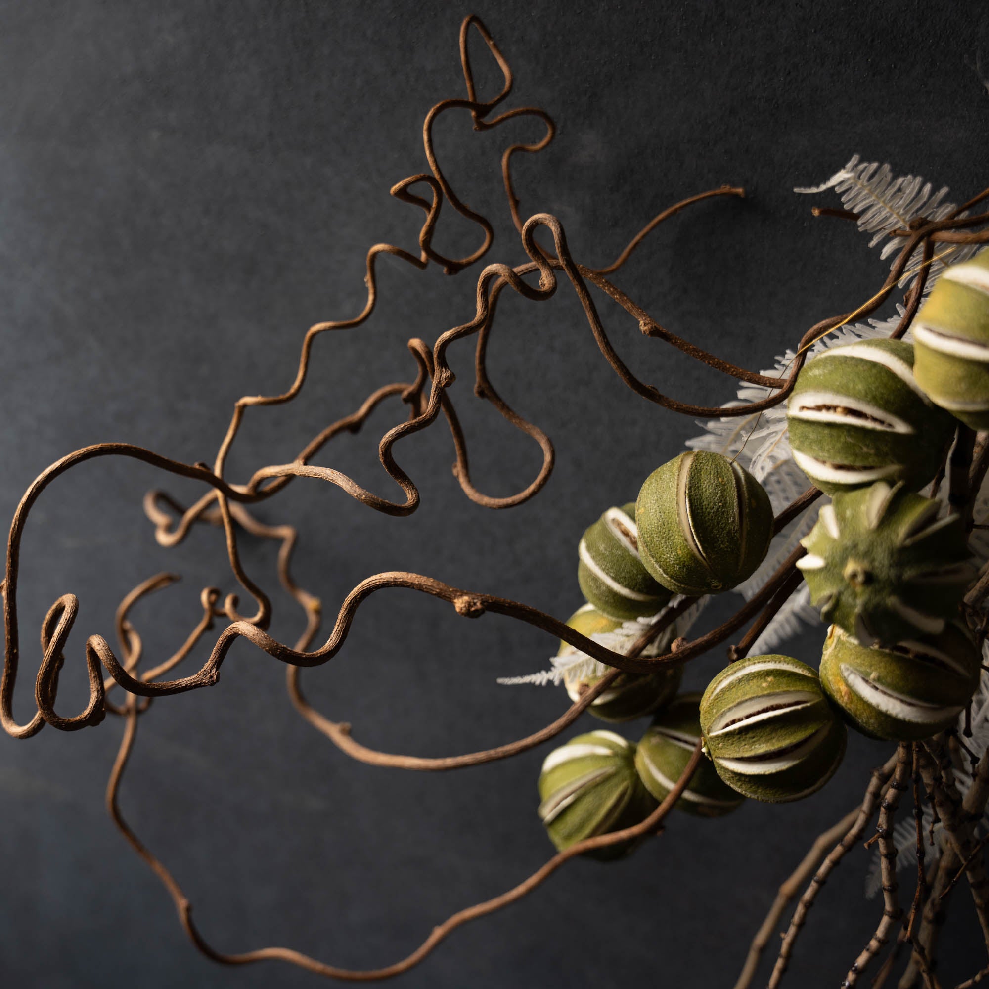 ライム×バンクシア×シダのナチュラルスワッグ