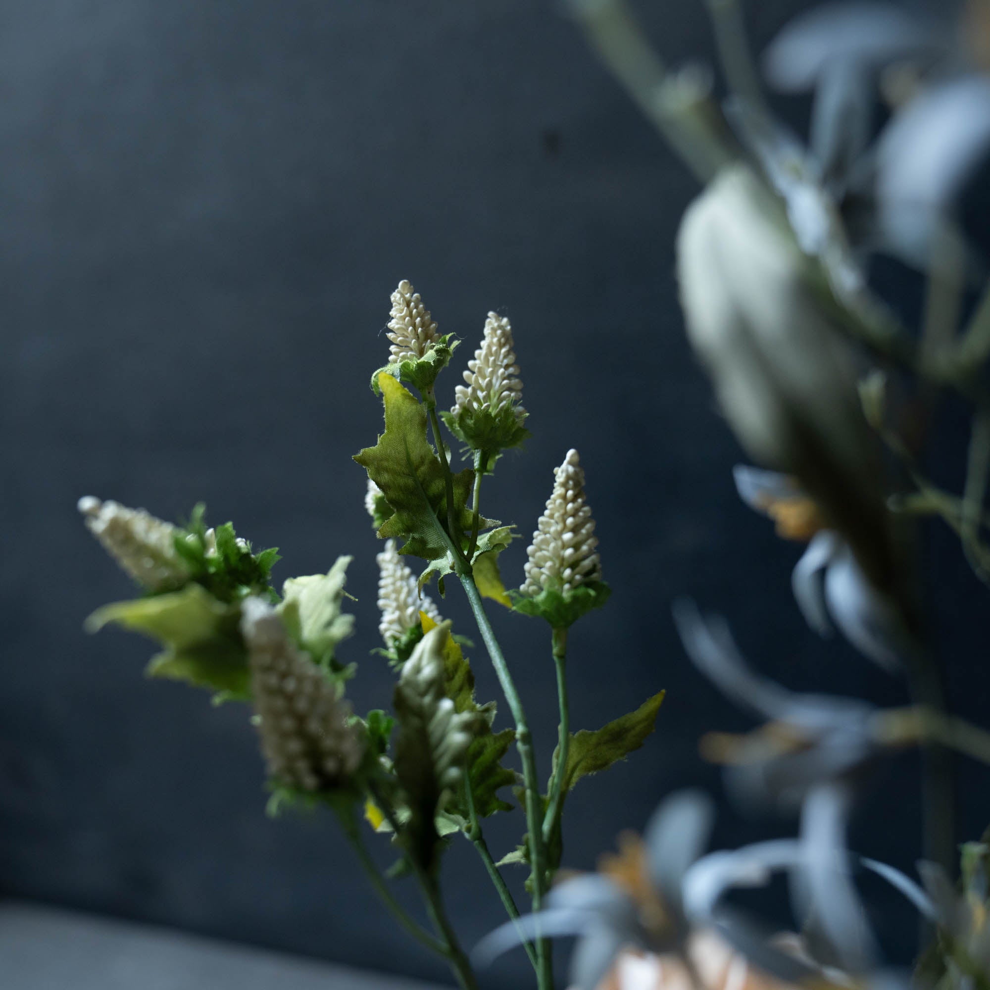 《ホワイトデーにもおすすめ》かもしか道具店 ピッチャーベース × ボタニカルブーケSET