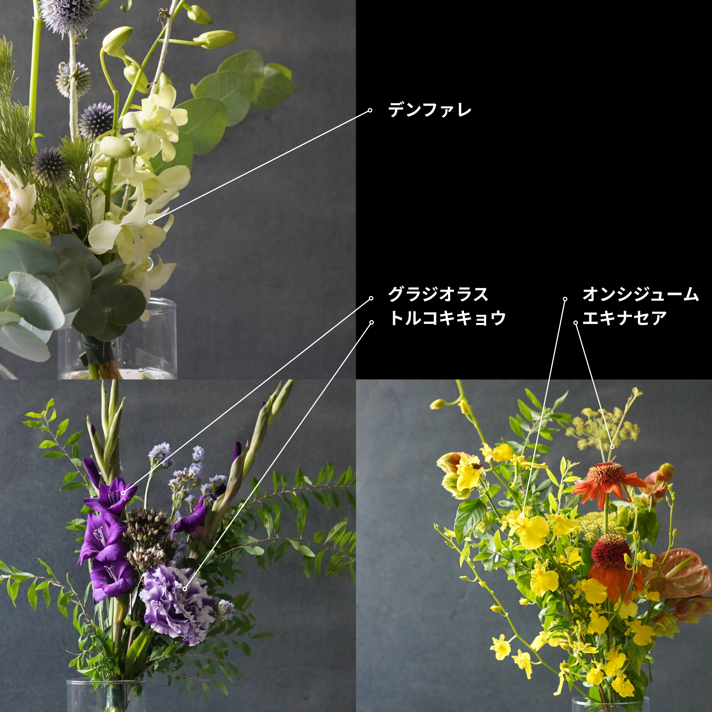 《お盆・墓花・仏花に》フューネラル ＆ アルター フラワー  A・B・C・D