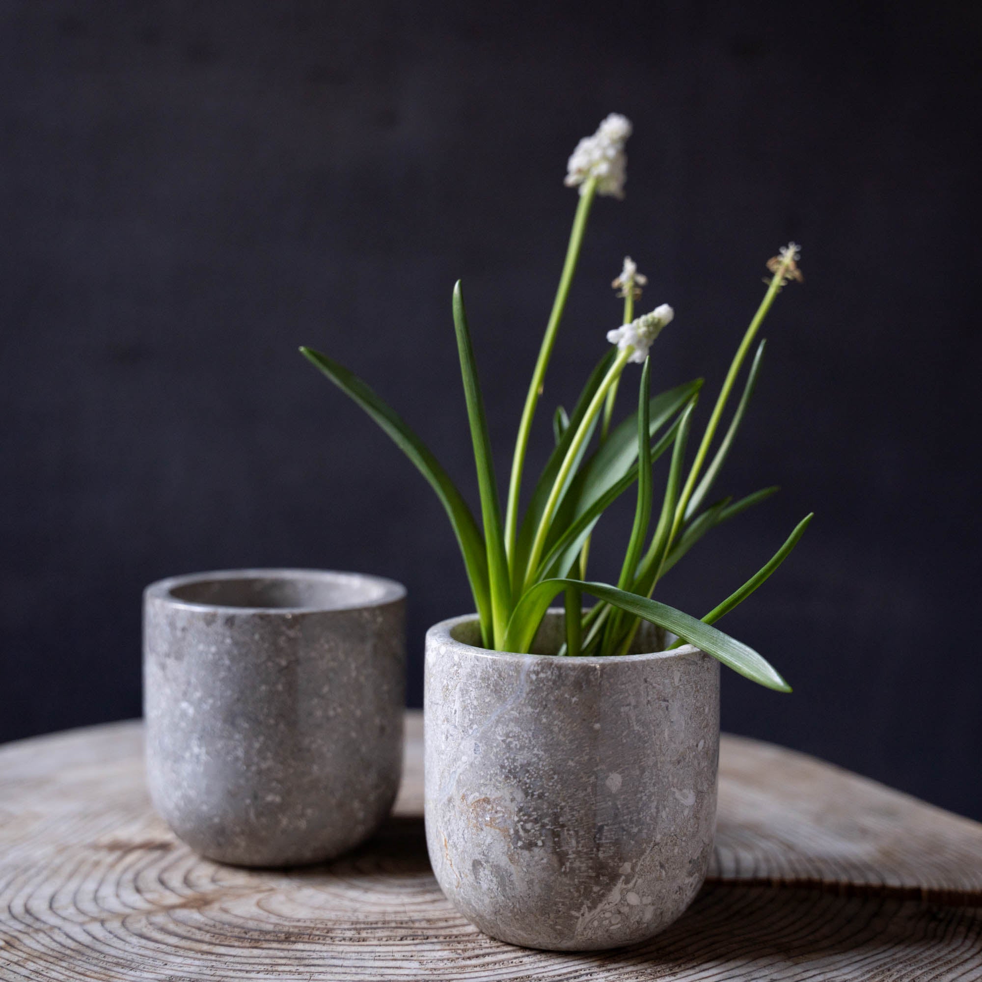 マーブルストーンポット　ライトグレー