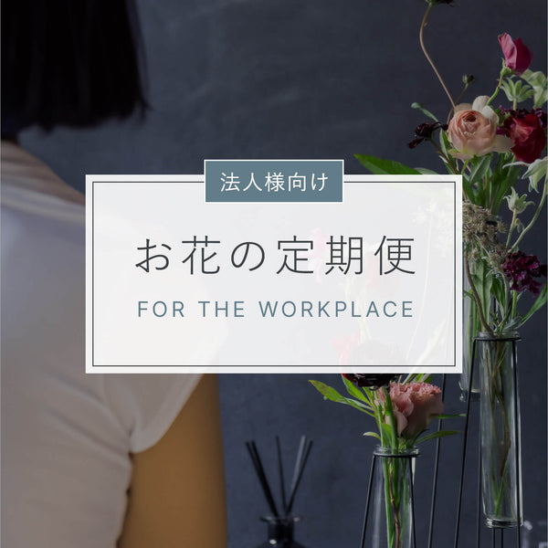 お花の定期便 for the workplace