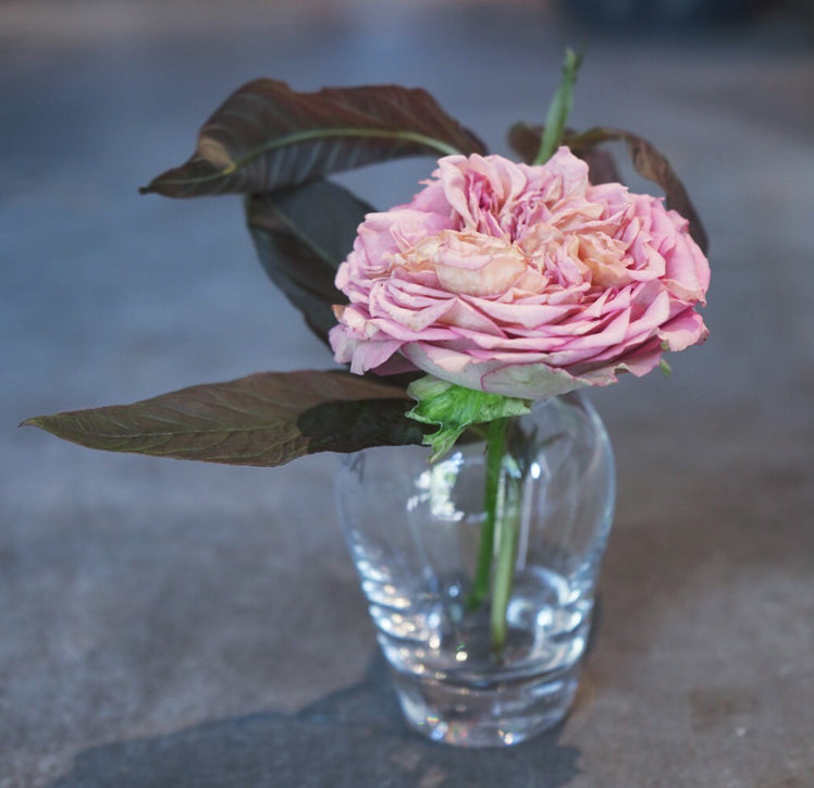 LSA クリアガラスベース ミニブーケ