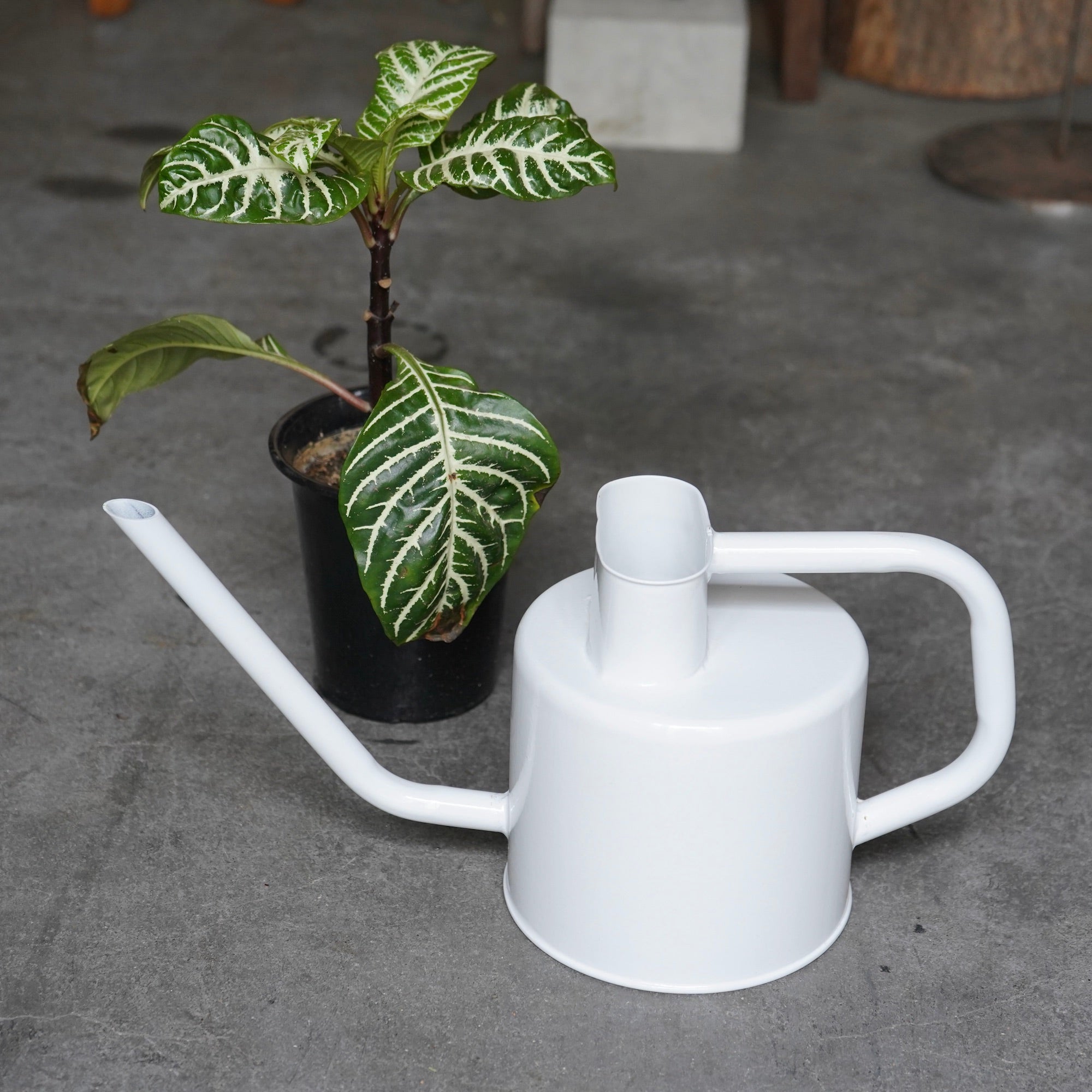 カリガリス　花瓶　最終値下げ❗️ カリガリス 花瓶 最終値下げ❗️